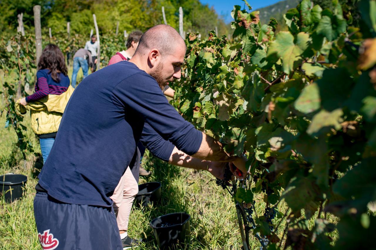 Chateau Dio Ambrolauri Eksteriør billede