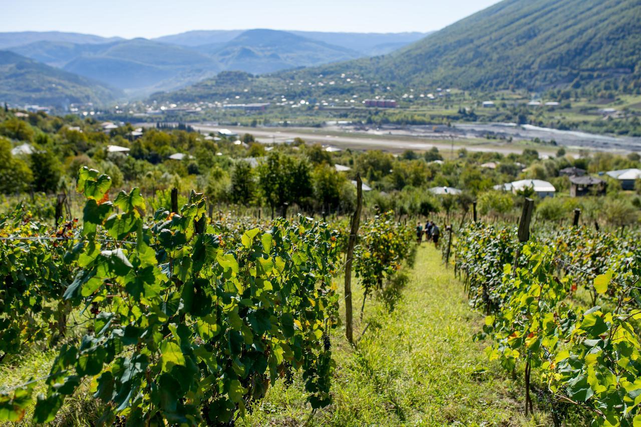 Chateau Dio Ambrolauri Eksteriør billede