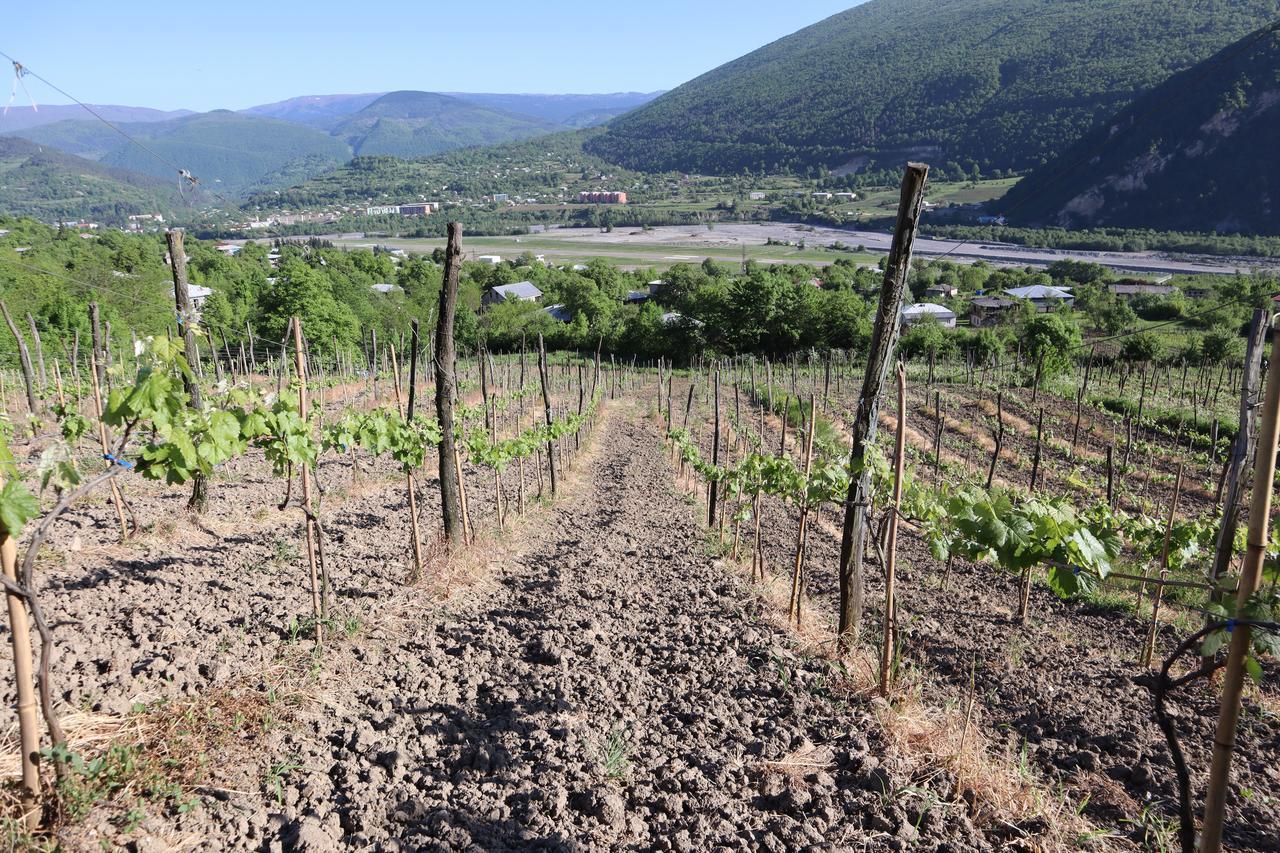 Chateau Dio Ambrolauri Eksteriør billede
